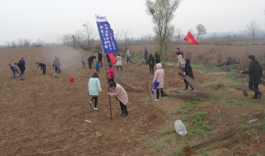 得爾硼業(yè)植樹(shù)