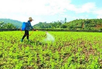 【湖北】農(nóng)用硼酸   時間讓得爾硼業(yè)更可信