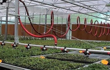 【安徽】土壤改良劑用的硼酸